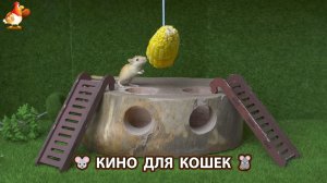 Видео для кошек про крысок развлекать питомцев 🐭🐀😂 (547)