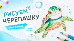 Рисуем черепашку поэтапно акваральными карандашами