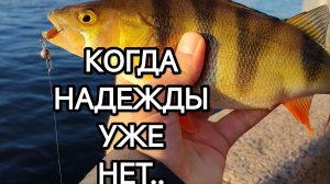 КОГДА НАДЕЖДЫ УЖЕ НЕ БЫЛО🔥 #СПИННИНГ