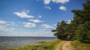 Спокойная музыка без слов для души. Фоновая музыка без слов. Спокойная музыка для фона