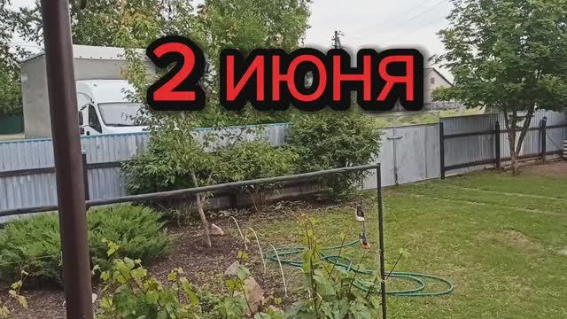Второй день лета. Синоптики снова обманули