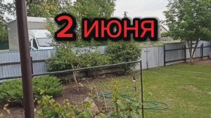 Второй день лета. Синоптики снова обманули