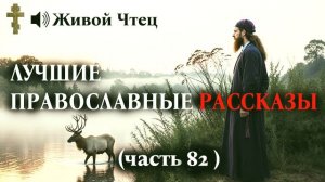СЕСТРЫ СУДИЛИСЬ 10 ЛЕТ ИЗ-ЗА ДОМА... ЛУЧШИЕ ПРАВОСЛАВНЫЕ РАССКАЗЫ часть 82