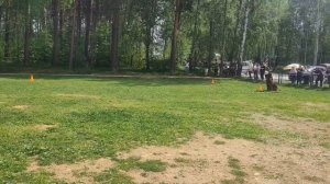 3.  выражено/перв VERTIS OIL V. FESTBURG (Vegas Din v. Festburg – De Orse Mak Flai Silviya)