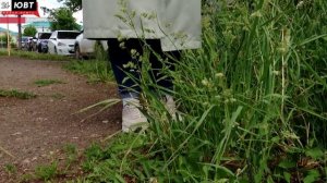 На «Народном контроле» альметьевцы пожаловались на провал в асфальте и состояние тротуаров