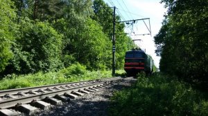 ВЛ10 в лесу Ржевского лесопарка: зеленое видео на голубых экранах