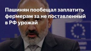 Премьер Армении Пашинян пообещал заплатить за урожай фермерам,которые не смогут поставить в РФ