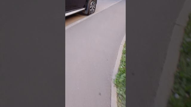 1000016616.mp4 смотреть онлайн