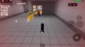 1000001271.mp4