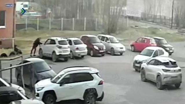 «КРиК» – Внезапная агрессия