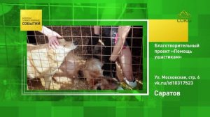 Саратов. Благотворительный проект «Помощь ушастикам»