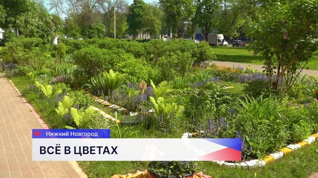 Более 4 тысяч квадратных метров цветников появятся в Автозаводском районе Нижнего Новгорода