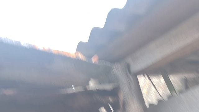 котики смотреть онлайн