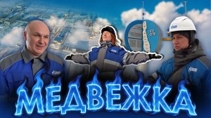 Медвежка