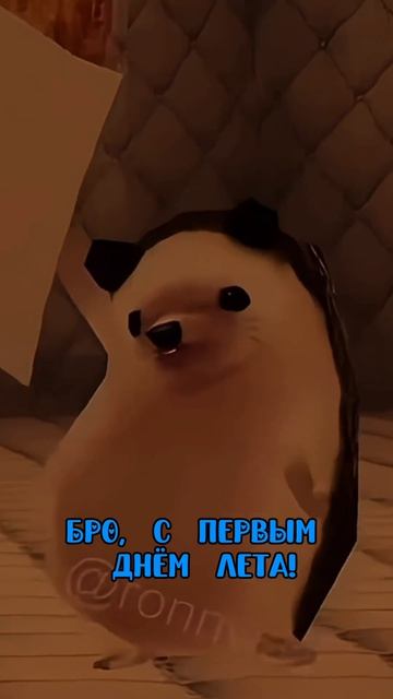 С первым днем лета!