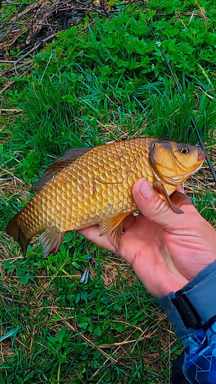 Удачный заброс 🎣👍🔥 смотреть онлайн