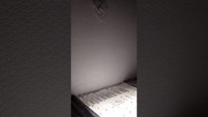 мы сиди за низом дома но нам ворвался какой-то щелк и мы заперлись но донесса поймали