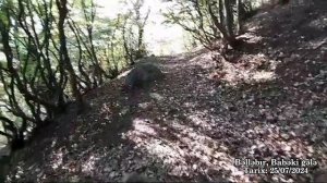Lankon Bəlləbır