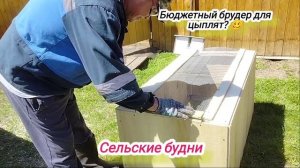 Самый простой и бюджетный брудер для цыплят? 🤔