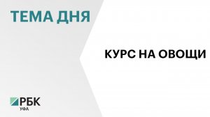 Совхоз «Алексеевский» сосредоточится на производстве тепличных овощей