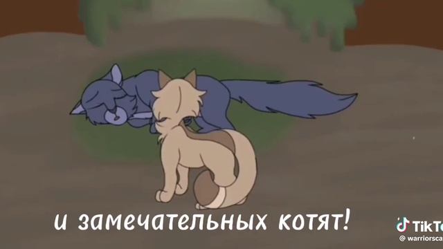 коты