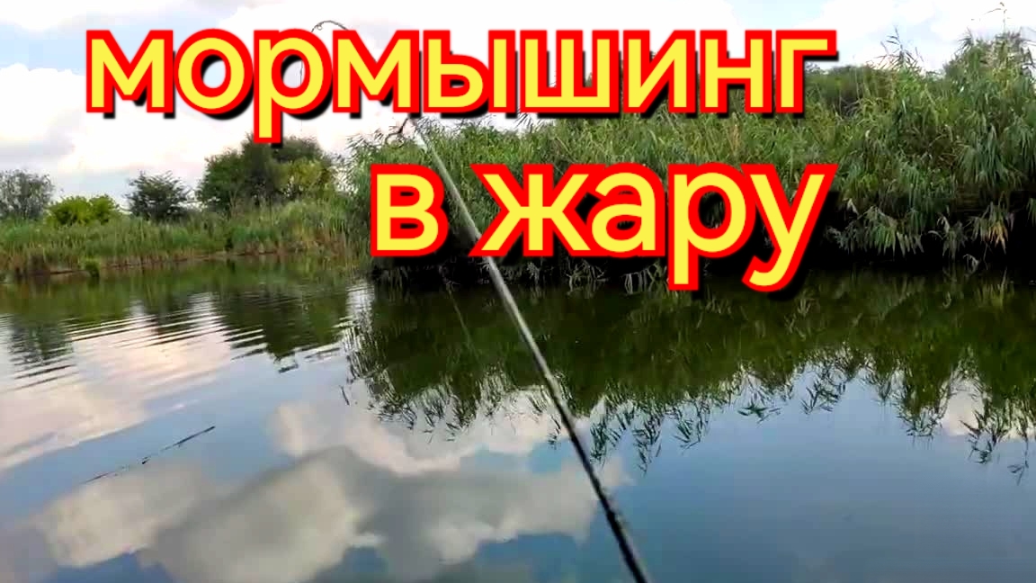 Мормышинг в жару.Мотыль выручает.