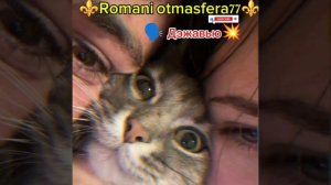 👑🧸Новая⚜️2026⚜️ Цыганская Песня🧸👑 Типа🫶Дэжавью💥Ищут Все💯Для настроения ✨ашунэнти пэ зорэс👍🛎