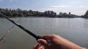 Тут и дикий сазан, карась, рыбалка на флэт фидер, ловля рыбы на реке Кубань осен