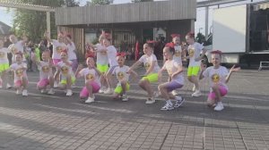 Мир похож на цветной луг