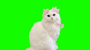вот моя ос😚