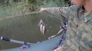 Эта приманка ловит всё подряд!Стоит только закинуть..