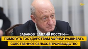 Бабаков: задача России — помогать государствам Африки развивать собственное сельхозпроизводство