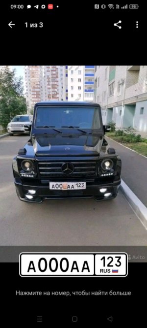 ястреб играет в мяч