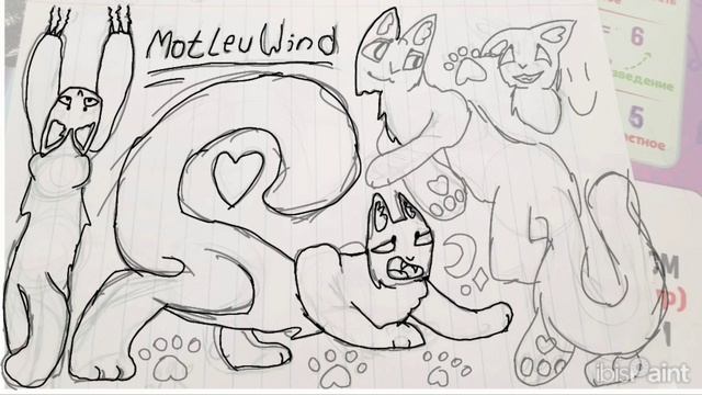 Котостраничка для Motley Wind!!!(Можешь орать на меня, я про хвост забыла😑😫) смотреть онлайн