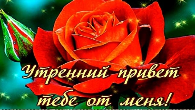 ДОБРОГО УТРА ТЕБЕ! КРАСИВАЯ ВИДЕООТКРЫТКА