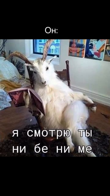 Делегировать общение с клиентами невозможно, а вот чертежи можно нам @4ertezhi.ru #планировочное