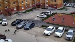 Пьяный водитель влетел во двор многоэтажки в Аше под Челябинском и едва не сбил детей, — ГИБДД.

45-