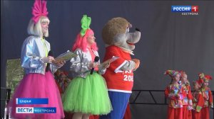 В Шарье отметили День рождения символа города – Ёжика Гоши
