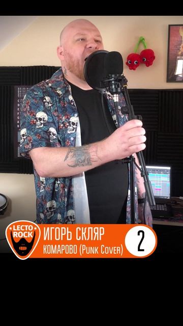 Игорь Скляр - Комарово (Часть 2)
