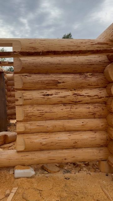 Сруб бани… Ивановка… Компания «Русская изба»… смотреть онлайн