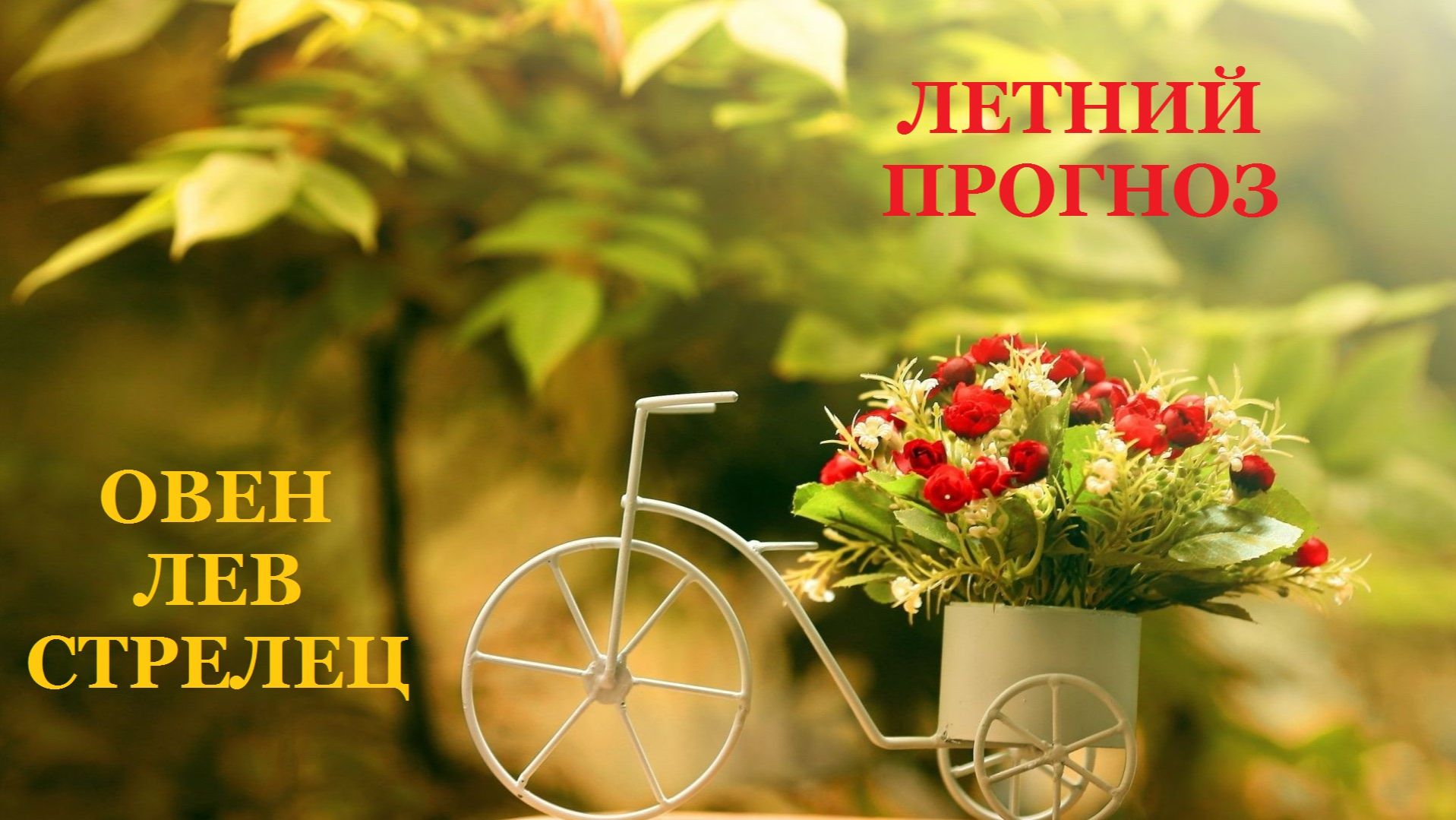 ЛЕТНИЙ ПРОГНОЗ ДЛЯ ЗНАКОВ ОГНЯ смотреть онлайн