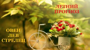 ЛЕТНИЙ ПРОГНОЗ ДЛЯ ЗНАКОВ ОГНЯ