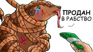Ты – Панголин (И ЭТО ВСЯ ТВОЯ ЖИЗНЬ)