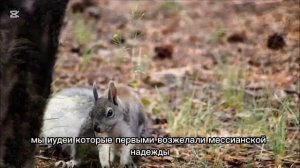 Ефесянам 1 глава. Страстной перевод