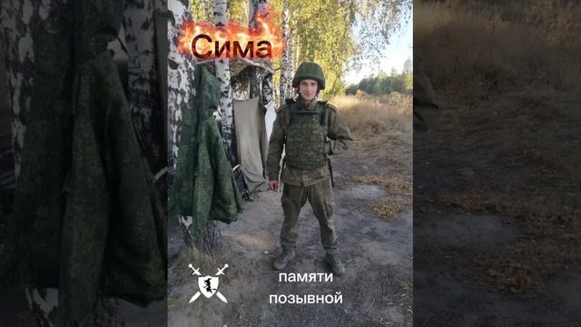 песня памяти позывной Сима от Baba Yaga Phenom смотреть онлайн