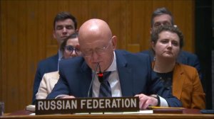 Statement by Vassily Nebenzia at UNSC Briefing on Lebanon