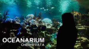 OCEANARIUM
