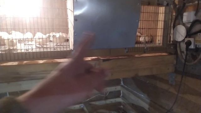 Бизнесмен по Деревенски. Как заработать живя в селе. Новая брудерная батарея для цыплят.