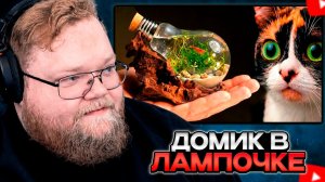 T2x2 СМОТРИТ: Я СДЕЛАЛ ВОДНЫЙ ТЕРРАРИУМ С ЖИВОТНЫМ В ЛАМПОЧКЕ