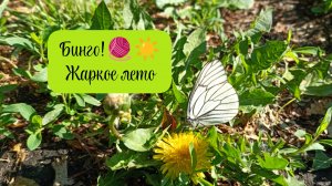 Бинго! Жаркое лето☀🔥🧶 Яга, жирафик, гусик, репки)